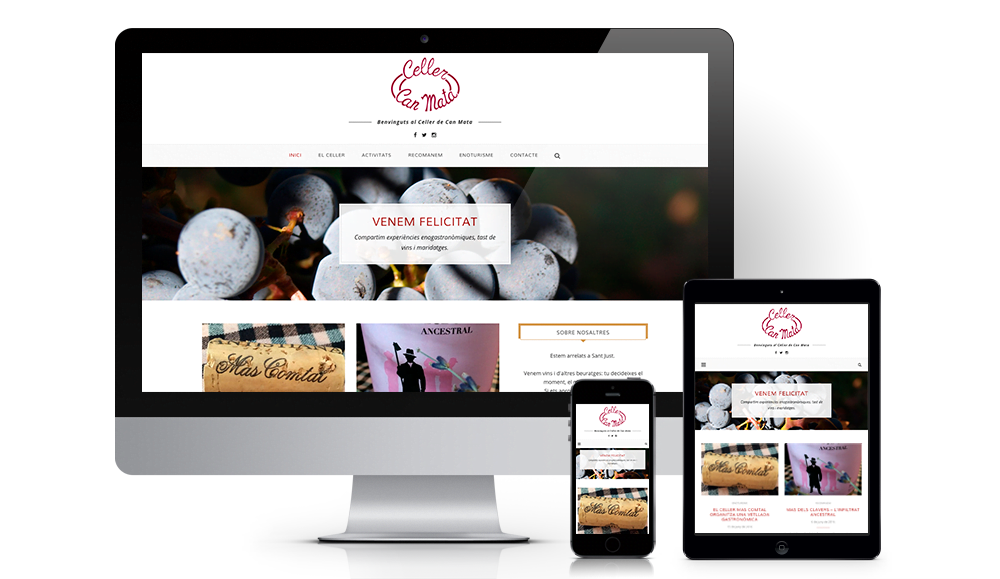 Diseno web wordpress